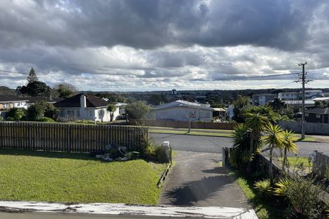 Photo of property in 17 Blacklock Avenue, Henderson, Auckland, 0612