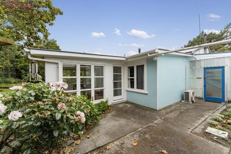 Photo of property in 47 Punga Street, Tangimoana, 4822