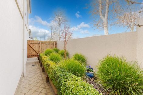 Photo of property in 23a Albert Street, Hamilton East, Hamilton, 3216