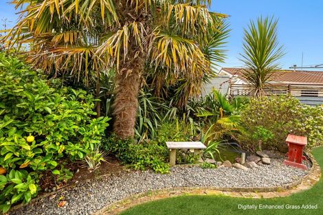 Photo of property in 12 Bens Place, Springvale, Whanganui, 4501