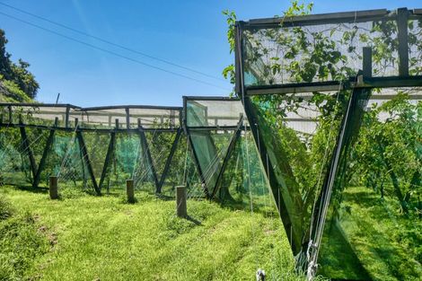 Photo of property in 427 Soldiers Road, Lower Kaimai, Tauranga, 3171