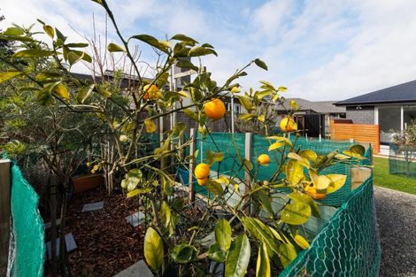 Photo of property in 3 Lancewood Avenue, Feilding, 4702