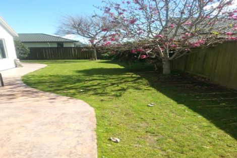 Photo of property in 180 Thomas Road, Rototuna North, Hamilton, 3210