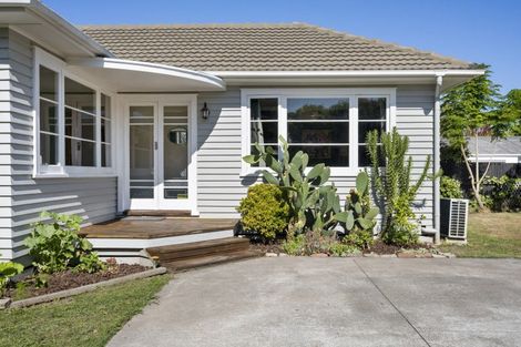 Photo of property in 900 Clive Street, Akina, Hastings, 4122