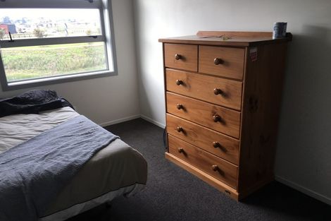 Photo of property in 29 Portland Lane, Chartwell, Hamilton, 3210