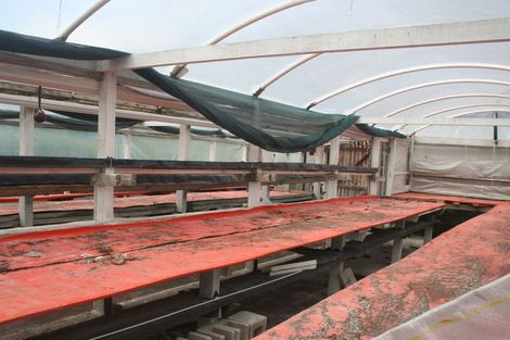 Photo of property in 70 Sala Street, Whakarewarewa, Rotorua, 3010