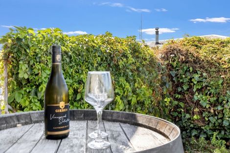 Photo of property in 31 Holdaway Street, Riversdale, Blenheim, 7201