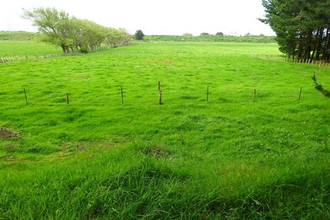 Photo of property in 170 Foxton Shannon Road, Foxton, 4893