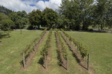 Photo of property in 239a Waitawheta Road, Waikino, Waihi, 3682