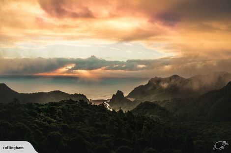 Photo of property in 128 Lone Kauri Road, Karekare, Auckland, 0772