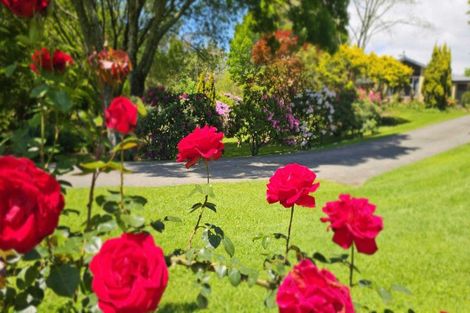 Photo of property in 57 Armstrong Road, Te Puna, Tauranga, 3174