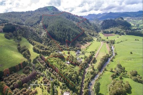 Photo of property in 195 Kapowai Road, Whenuakite, Whitianga, 3591