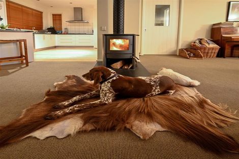 Photo of property in 8 Haydens Road, Marsden, Greymouth, 7805