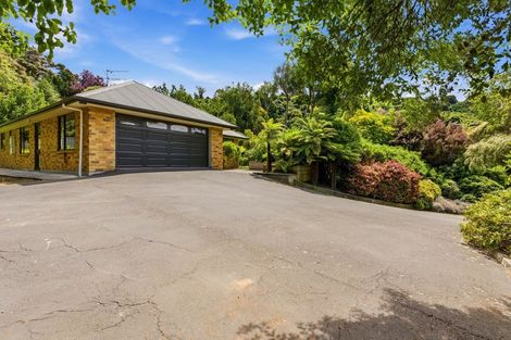 Photo of property in 2 Ronay Street, Bradford, Dunedin, 9011