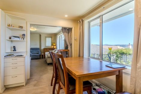 Photo of property in 133 Tahuna Road, Andersons Bay, Dunedin, 9013