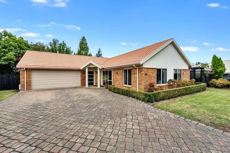 Photo of property in 19a Munro Place, Flagstaff, Hamilton, 3210