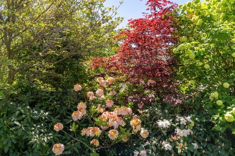 Photo of property in 19 Blacksmiths Lane, Wanaka, 9305