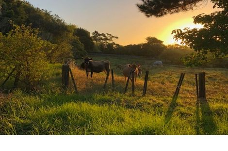 Photo of property in 159 Vaughans Road, Okura, Albany, 0792