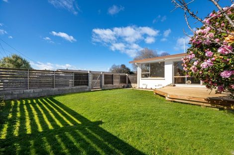 Photo of property in 2/29 Ward Street, Springlands, Blenheim, 7201