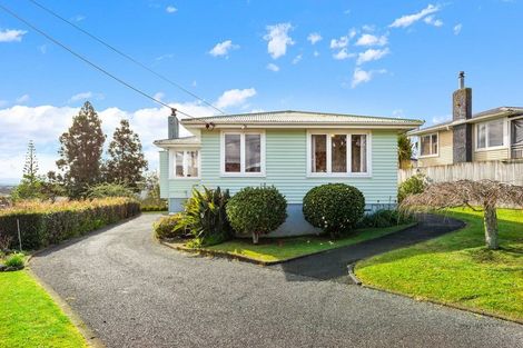 Photo of property in 14 Pine Avenue, Henderson, Auckland, 0612