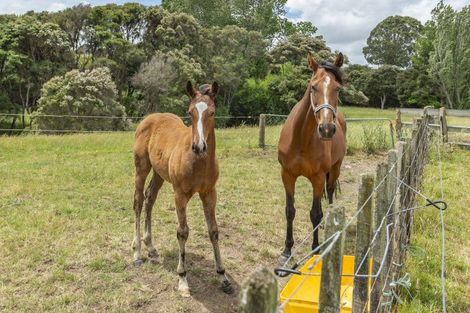 Photo of property in 1358 Makirikiri Road, Turakina, Marton, 4789