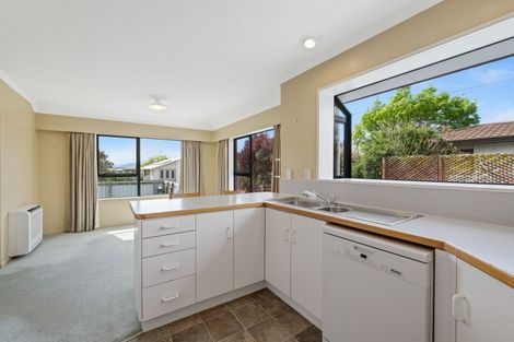 Photo of property in 24 Brooklyn Drive, Redwoodtown, Blenheim, 7201