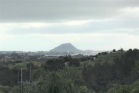 Photo of property in 31 Riddington Rise, Ohauiti, Tauranga, 3112