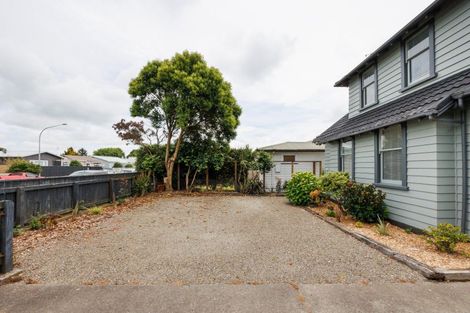 Photo of property in 113 Shamrock Street, Takaro, Palmerston North, 4412
