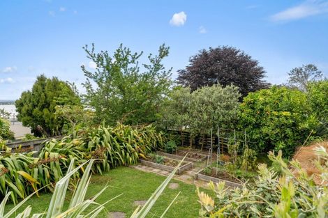 Photo of property in 29 Vivian Drive, Omokoroa, 3114