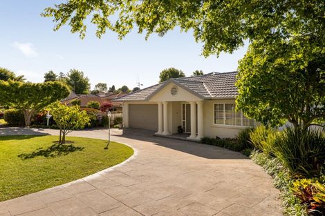 Photo of property in 19 Buckingham Place, Bethlehem, Tauranga, 3110