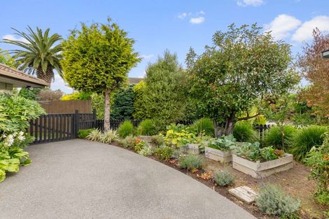Photo of property in 19a Clipper Place, Redwood, Christchurch, 8051