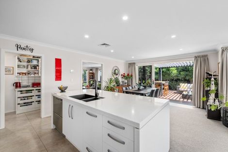 Photo of property in 55 Grigg Drive, Witherlea, Blenheim, 7201