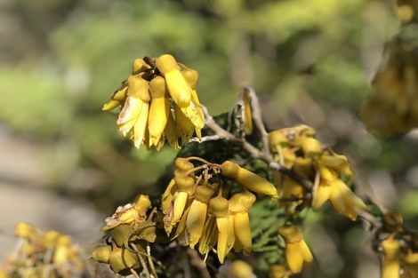 Photo of property in 120b Golf Harbour Drive, Maunu, Whangarei, 0179