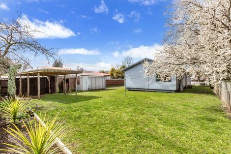 Photo of property in 61 Maria Place, Turangi, 3334