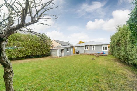 Photo of property in 24 Kauri Street, Roslyn, Palmerston North, 4414