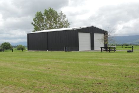 Photo of property in 43 Kerr Road, Te Poi, Matamata, 3473