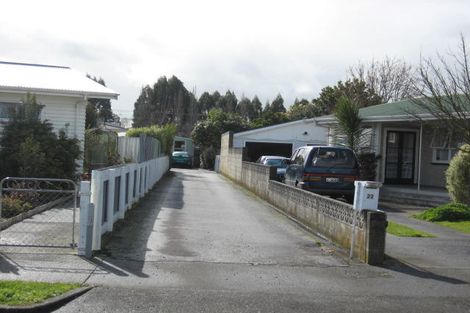 Photo of property in 22 Daniell Street, Solway, Masterton, 5810
