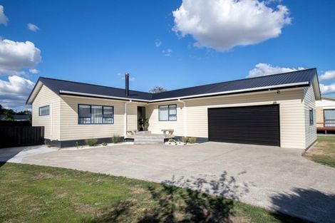 Photo of property in 23 Darlington Street, Ngatea, 3503