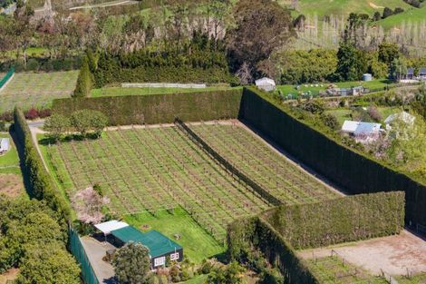 Photo of property in 28 Lindemann Road, Katikati, 3170