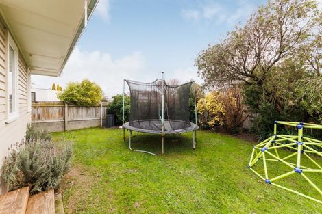 Photo of property in 38 Liverpool Street, Takaro, Palmerston North, 4412