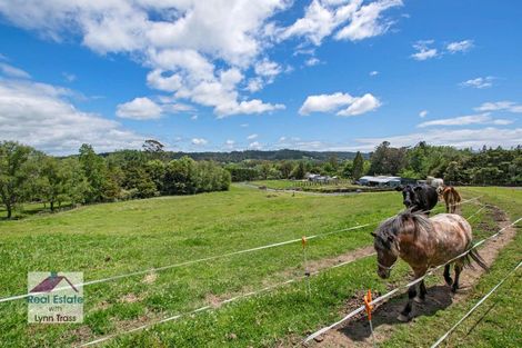 Photo of property in 93 Mclennan Road, Whakapara, Hikurangi, 0182