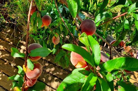 Photo of property in 4 Lavinia Place, Kawau Island, 0920