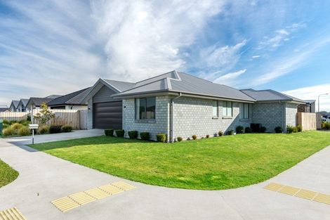 Photo of property in 19 Maggie Street, Kaiapoi, 7630