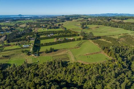 Photo of property in 9d Mcquade Road, Whakamarama, Tauranga, 3179