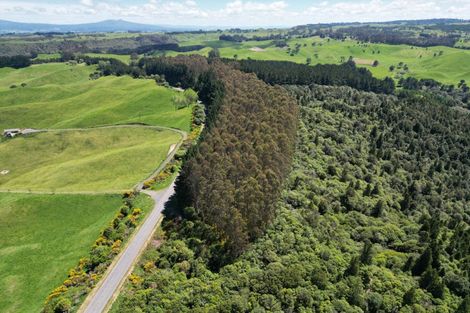 Photo of property in 1401 Whangamata Road, Marotiri, Taupo, 3377