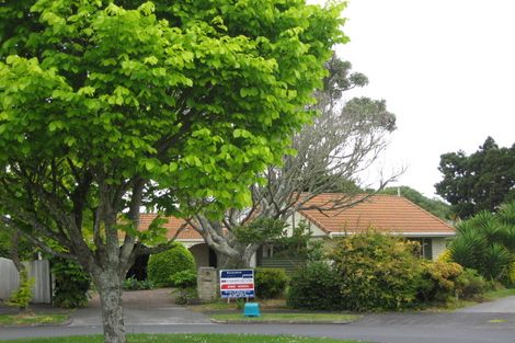 Photo of property in 21 Peridot Place, Conifer Grove, Takanini, 2112