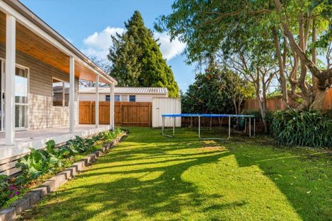 Photo of property in 19 Princess Street, Te Puke, 3119