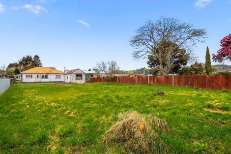 Photo of property in 10 Leese Street, Taumarunui, 3920