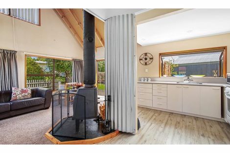 Photo of property in 19 Arrow Street, Naseby, 9396