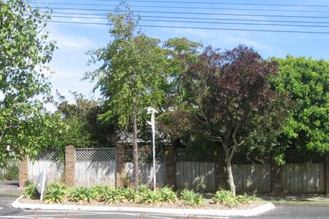 Photo of property in 20 Arawa Street, New Lynn, Auckland, 0600